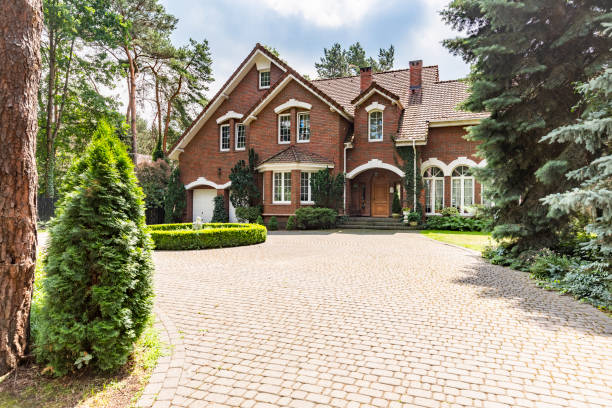 Best Driveway Paving Contractor  in Georgiana, AL